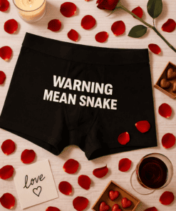 Warning mean snake sweatshirt, Valentine’s Day gift idea, funny graphic tee for men or women, stylish loungewear.