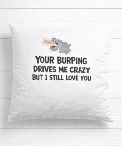 Burping mouse illustration humorous pillow with funny love message for kids or adults.